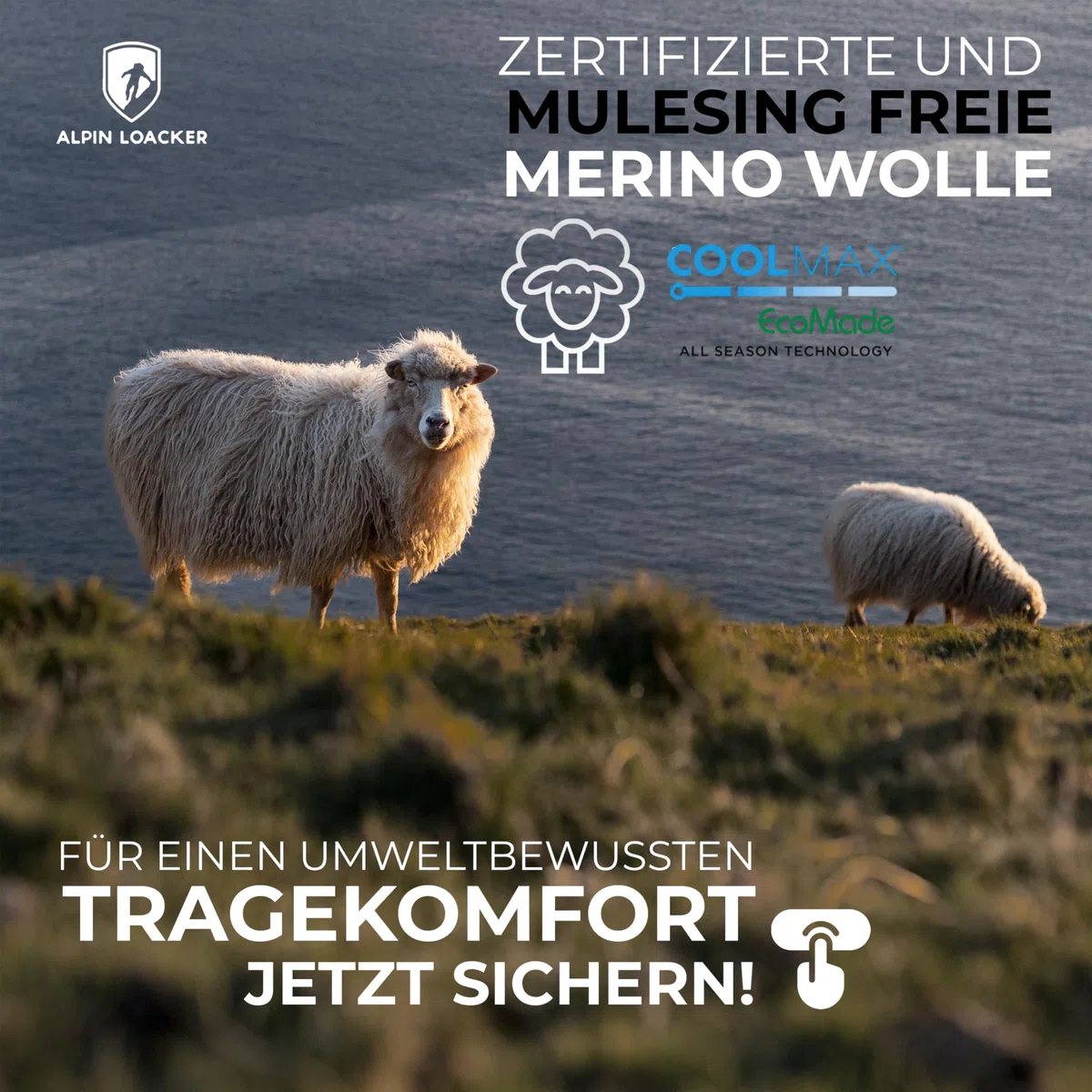 ALPIN LOACKER Merino Boxershorts Herren 2er Pack mit Coolmax-Technologie I Merinowolle Funktionsunterwäsche I Sportunterhose Herren - Atmungsaktiv, geruchsneutral & schnelltrocknend